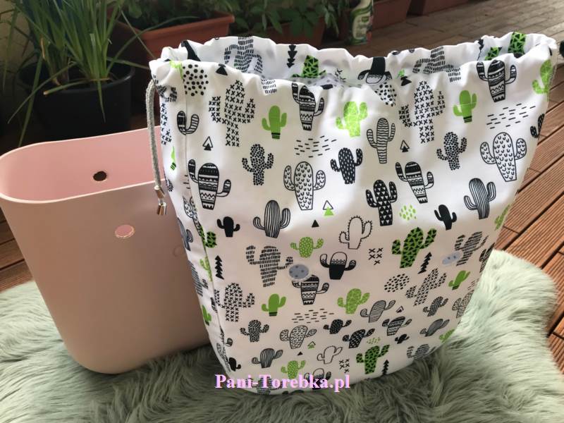 komin obag standard kaktusy na białym tle